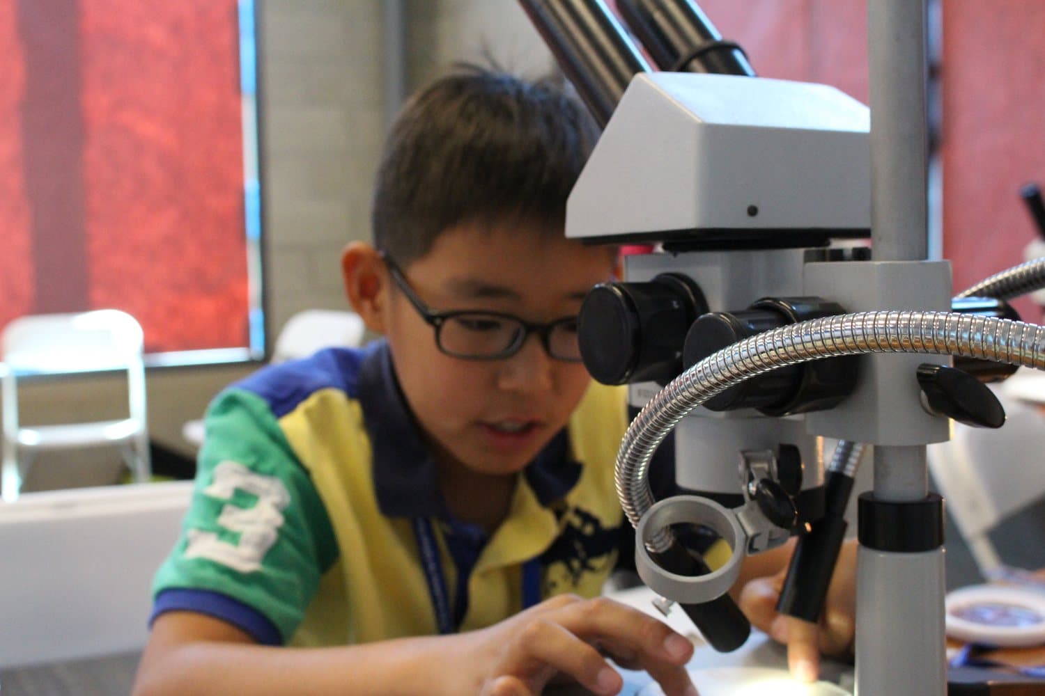 A student adjusting a stereo microscope, working closely on a specimen.